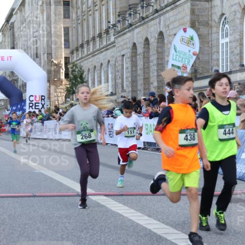 07.09.2025 - BARMER Alsterlauf Strokosch-Dieckow http://msf.ph/oto/8717083 07.09.2025 10:50:55 Ziel 151, 167, 196, 268, 313, 407, 408, 438, 441, 444 meine-sportfotos.de