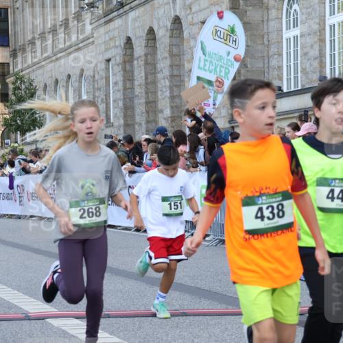 07.09.2025 - BARMER Alsterlauf Strokosch-Dieckow http://msf.ph/oto/8717084 07.09.2025 10:50:56 Ziel 151, 157, 167, 196, 268, 313, 407, 408, 437, 438, 441, 444 meine-sportfotos.de