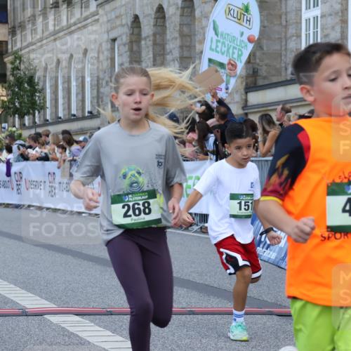 07.09.2025 - BARMER Alsterlauf Strokosch-Dieckow http://msf.ph/oto/8717085 07.09.2025 10:50:56 Ziel 151, 157, 167, 196, 268, 313, 407, 408, 437, 438, 441, 444 meine-sportfotos.de