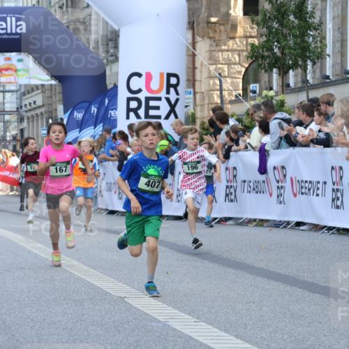 07.09.2025 - BARMER Alsterlauf Strokosch-Dieckow http://msf.ph/oto/8717086 07.09.2025 10:50:57 Ziel 151, 157, 167, 196, 268, 313, 407, 408, 437, 438, 441, 444, 8071, 8073, 8381 meine-sportfotos.de