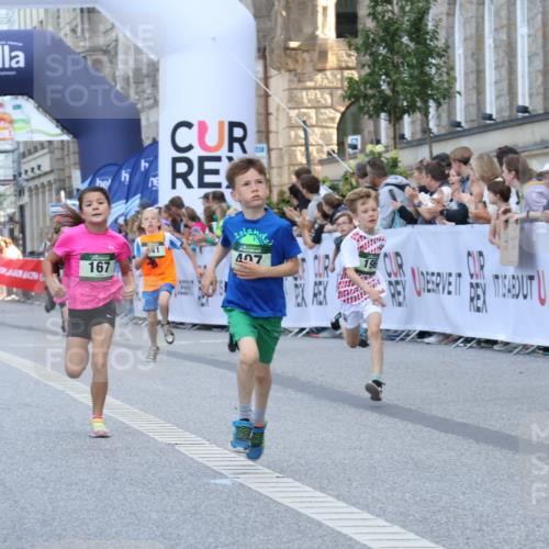 07.09.2025 - BARMER Alsterlauf Strokosch-Dieckow http://msf.ph/oto/8717088 07.09.2025 10:50:58 Ziel 151, 157, 167, 196, 268, 313, 407, 437, 438, 441, 444, 8071, 8073, 8381 meine-sportfotos.de