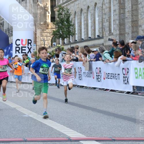 07.09.2025 - BARMER Alsterlauf Strokosch-Dieckow http://msf.ph/oto/8717089 07.09.2025 10:50:58 Ziel 151, 157, 167, 196, 268, 313, 407, 437, 438, 441, 444, 8071, 8073, 8381 meine-sportfotos.de