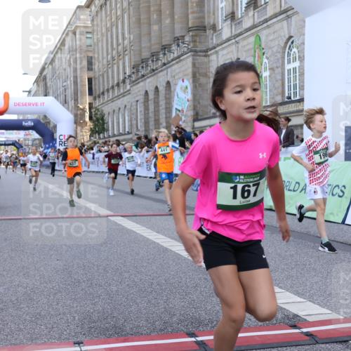 07.09.2025 - BARMER Alsterlauf Strokosch-Dieckow http://msf.ph/oto/8717096 07.09.2025 10:51:01 Ziel 151, 157, 162, 167, 193, 196, 251, 268, 295, 407, 437, 441, 8071, 8073, 8381 meine-sportfotos.de