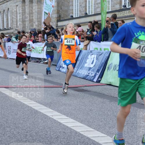 07.09.2025 - BARMER Alsterlauf Strokosch-Dieckow http://msf.ph/oto/8717097 07.09.2025 10:51:02 Ziel 157, 162, 167, 171, 193, 196, 251, 295, 407, 437, 441, 8071, 8073, 8194, 8381 meine-sportfotos.de