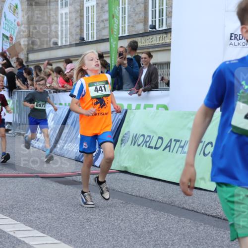 07.09.2025 - BARMER Alsterlauf Strokosch-Dieckow http://msf.ph/oto/8717098 07.09.2025 10:51:02 Ziel 157, 162, 167, 171, 193, 196, 251, 295, 407, 437, 441, 8071, 8073, 8194, 8381 meine-sportfotos.de