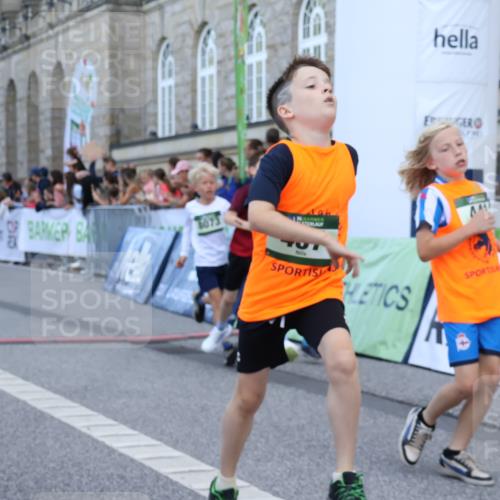07.09.2025 - BARMER Alsterlauf Strokosch-Dieckow http://msf.ph/oto/8717101 07.09.2025 10:51:03 Ziel 157, 162, 167, 171, 193, 196, 251, 295, 320, 407, 437, 441, 8071, 8073, 8194, 8233, 8381 meine-sportfotos.de