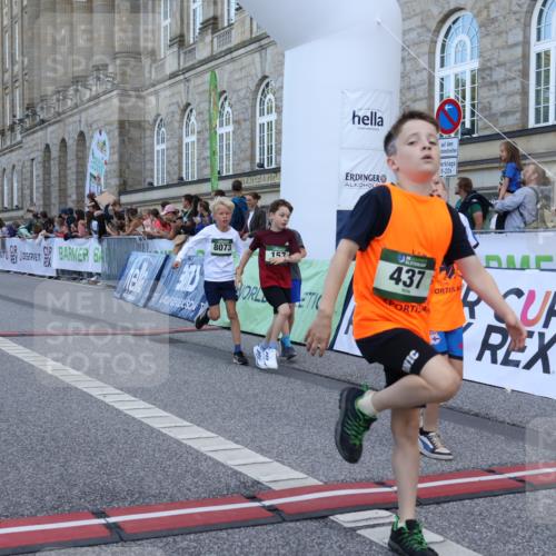 07.09.2025 - BARMER Alsterlauf Strokosch-Dieckow http://msf.ph/oto/8717102 07.09.2025 10:51:04 Ziel 157, 162, 163, 167, 171, 193, 196, 216, 251, 295, 320, 407, 437, 441, 8071, 8073, 8194, 8233, 8381 meine-sportfotos.de