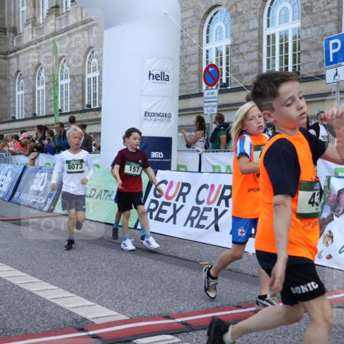 07.09.2025 - BARMER Alsterlauf Strokosch-Dieckow http://msf.ph/oto/8717103 07.09.2025 10:51:04 Ziel 157, 162, 163, 167, 171, 193, 196, 216, 251, 295, 320, 407, 437, 441, 8071, 8073, 8194, 8233, 8381 meine-sportfotos.de