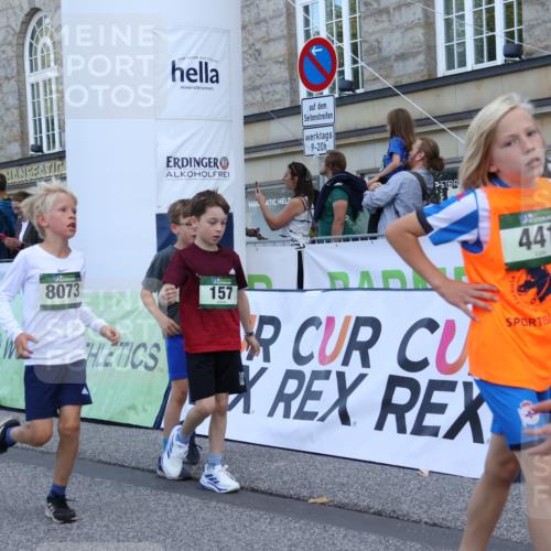 07.09.2025 - BARMER Alsterlauf Strokosch-Dieckow http://msf.ph/oto/8717104 07.09.2025 10:51:04 Ziel 157, 162, 163, 167, 171, 193, 196, 216, 251, 295, 320, 407, 437, 441, 8071, 8073, 8194, 8233, 8381 meine-sportfotos.de