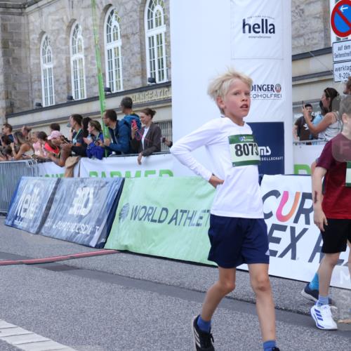 07.09.2025 - BARMER Alsterlauf Strokosch-Dieckow http://msf.ph/oto/8717105 07.09.2025 10:51:05 Ziel 157, 162, 163, 167, 171, 193, 196, 216, 251, 295, 320, 407, 437, 441, 8071, 8073, 8194, 8233, 8381 meine-sportfotos.de