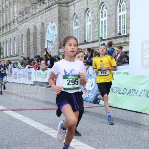 07.09.2025 - BARMER Alsterlauf Strokosch-Dieckow http://msf.ph/oto/8717111 07.09.2025 10:51:08 Ziel 157, 162, 163, 171, 193, 216, 251, 295, 320, 437, 8071, 8073, 8194, 8233, 8381 meine-sportfotos.de