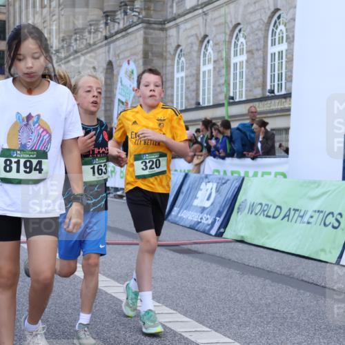 07.09.2025 - BARMER Alsterlauf Strokosch-Dieckow http://msf.ph/oto/8717120 07.09.2025 10:51:11 Ziel 162, 163, 171, 193, 216, 251, 295, 318, 320, 335, 336, 431, 449, 8194, 8233 meine-sportfotos.de