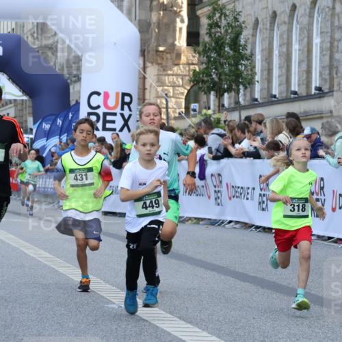 07.09.2025 - BARMER Alsterlauf Strokosch-Dieckow http://msf.ph/oto/8717126 07.09.2025 10:51:14 Ziel 163, 171, 216, 318, 319, 320, 335, 336, 431, 449, 8194, 8233, 8367 meine-sportfotos.de