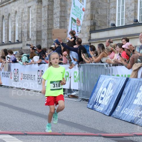 07.09.2025 - BARMER Alsterlauf Strokosch-Dieckow http://msf.ph/oto/8717128 07.09.2025 10:51:16 Ziel 163, 216, 309, 318, 319, 335, 336, 388, 430, 431, 432, 449, 8367 meine-sportfotos.de