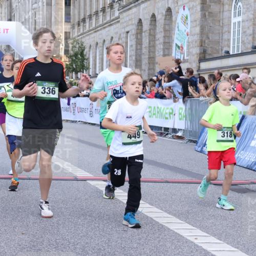 07.09.2025 - BARMER Alsterlauf Strokosch-Dieckow http://msf.ph/oto/8717130 07.09.2025 10:51:17 Ziel 189, 309, 318, 319, 335, 336, 388, 430, 431, 432, 449, 8367 meine-sportfotos.de