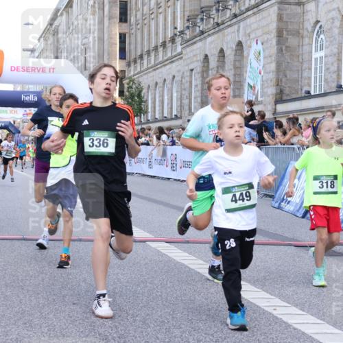 07.09.2025 - BARMER Alsterlauf Strokosch-Dieckow http://msf.ph/oto/8717131 07.09.2025 10:51:17 Ziel 189, 309, 318, 319, 335, 336, 388, 430, 431, 432, 449, 8367 meine-sportfotos.de