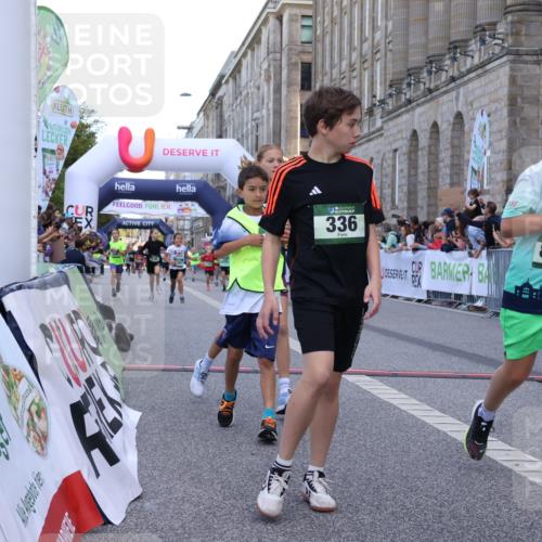 07.09.2025 - BARMER Alsterlauf Strokosch-Dieckow http://msf.ph/oto/8717133 07.09.2025 10:51:17 Ziel 189, 309, 318, 319, 335, 336, 388, 430, 431, 432, 449, 8367 meine-sportfotos.de