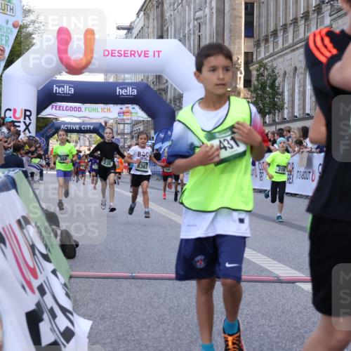 07.09.2025 - BARMER Alsterlauf Strokosch-Dieckow http://msf.ph/oto/8717135 07.09.2025 10:51:18 Ziel 189, 211, 303, 309, 318, 319, 335, 336, 388, 430, 431, 432, 449, 8367 meine-sportfotos.de