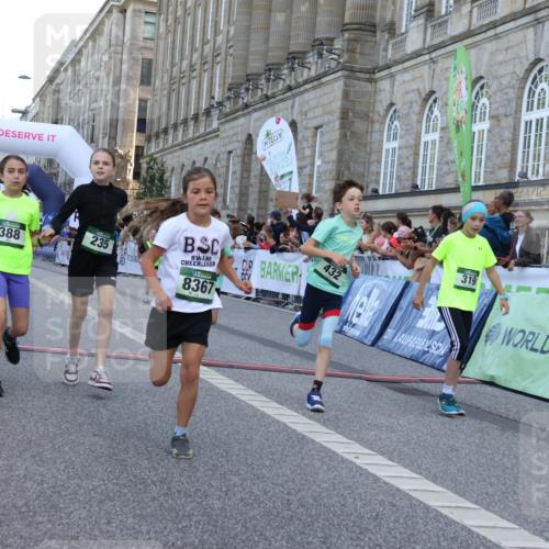 07.09.2025 - BARMER Alsterlauf Strokosch-Dieckow http://msf.ph/oto/8717139 07.09.2025 10:51:22 Ziel 189, 211, 261, 303, 309, 314, 318, 319, 327, 335, 388, 399, 420, 430, 431, 432, 8367 meine-sportfotos.de