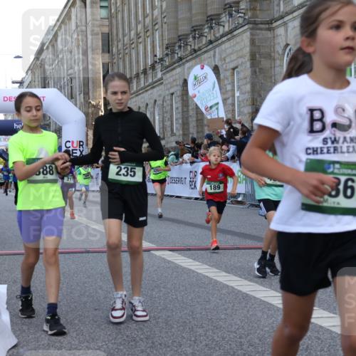 07.09.2025 - BARMER Alsterlauf Strokosch-Dieckow http://msf.ph/oto/8717142 07.09.2025 10:51:23 Ziel 189, 211, 261, 303, 309, 314, 319, 327, 335, 388, 399, 420, 430, 432, 8367 meine-sportfotos.de