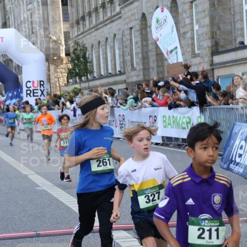 07.09.2025 - BARMER Alsterlauf Strokosch-Dieckow http://msf.ph/oto/8717148 07.09.2025 10:51:27 Ziel 152, 189, 211, 261, 303, 309, 314, 322, 327, 343, 380, 388, 391, 399, 420, 421, 422, 427, 430, 432, 433, 8122, 8188, 8189, 8209 meine-sportfotos.de