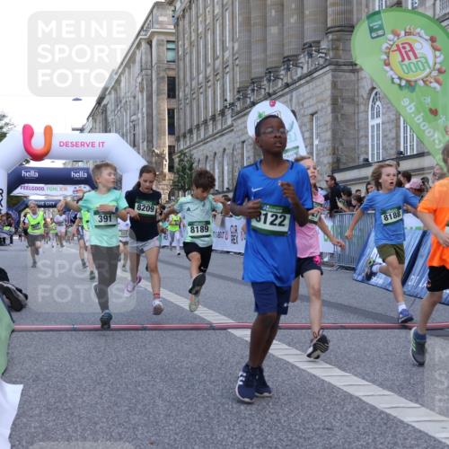 07.09.2025 - BARMER Alsterlauf Strokosch-Dieckow http://msf.ph/oto/8717153 07.09.2025 10:51:31 Ziel 152, 170, 261, 266, 314, 322, 327, 343, 380, 391, 399, 420, 421, 422, 427, 433, 442, 452, 8122, 8135, 8188, 8189, 8209 meine-sportfotos.de