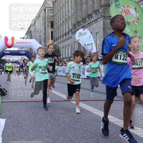 07.09.2025 - BARMER Alsterlauf Strokosch-Dieckow http://msf.ph/oto/8717154 07.09.2025 10:51:31 Ziel 152, 170, 261, 266, 314, 322, 327, 343, 380, 391, 399, 420, 421, 422, 427, 433, 442, 452, 8122, 8135, 8188, 8189, 8209 meine-sportfotos.de