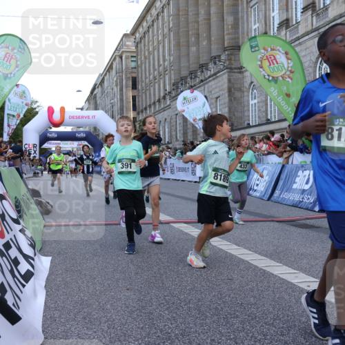 07.09.2025 - BARMER Alsterlauf Strokosch-Dieckow http://msf.ph/oto/8717155 07.09.2025 10:51:32 Ziel 152, 170, 203, 261, 266, 314, 322, 327, 343, 380, 391, 421, 422, 427, 433, 442, 452, 8122, 8135, 8188, 8189, 8209, 8376, 8380 meine-sportfotos.de