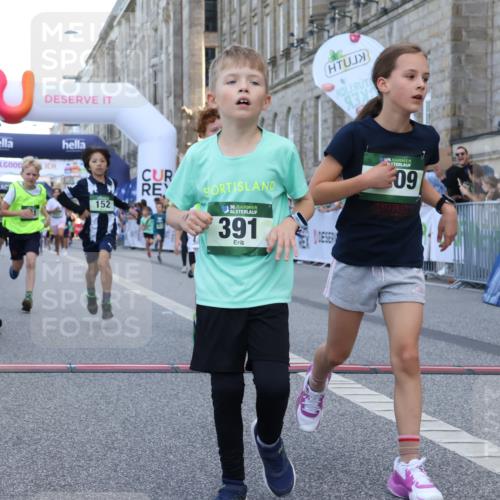 07.09.2025 - BARMER Alsterlauf Strokosch-Dieckow http://msf.ph/oto/8717156 07.09.2025 10:51:32 Ziel 152, 170, 203, 261, 266, 314, 322, 327, 343, 380, 391, 421, 422, 427, 433, 442, 452, 8122, 8135, 8188, 8189, 8209, 8376, 8380 meine-sportfotos.de