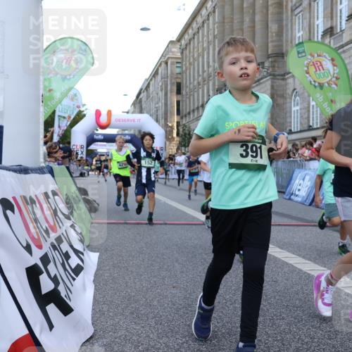 07.09.2025 - BARMER Alsterlauf Strokosch-Dieckow http://msf.ph/oto/8717158 07.09.2025 10:51:33 Ziel 152, 170, 203, 256, 266, 314, 322, 343, 380, 391, 400, 421, 422, 427, 433, 442, 452, 8122, 8135, 8188, 8189, 8209, 8376, 8380 meine-sportfotos.de