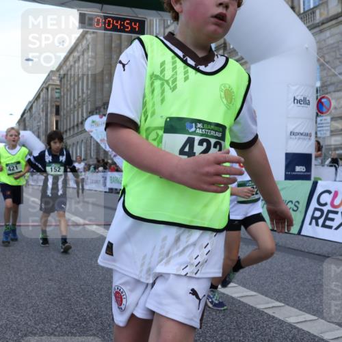 07.09.2025 - BARMER Alsterlauf Strokosch-Dieckow http://msf.ph/oto/8717161 07.09.2025 10:51:35 Ziel 152, 156, 170, 203, 256, 266, 322, 343, 380, 391, 400, 421, 422, 425, 426, 427, 433, 442, 452, 8122, 8135, 8188, 8189, 8209, 8329, 8376, 8380 meine-sportfotos.de