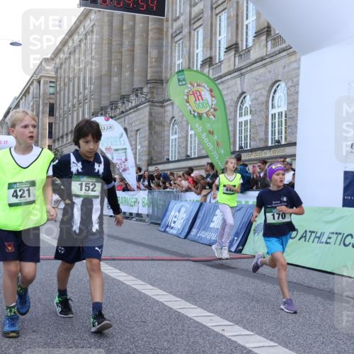 07.09.2025 - BARMER Alsterlauf Strokosch-Dieckow http://msf.ph/oto/8717162 07.09.2025 10:51:36 Ziel 152, 156, 170, 203, 256, 266, 322, 343, 380, 391, 400, 421, 422, 425, 426, 427, 433, 442, 452, 8122, 8135, 8188, 8189, 8209, 8329, 8376, 8380, 8459 meine-sportfotos.de