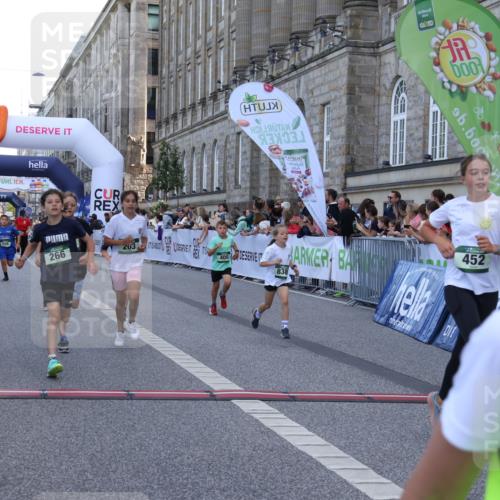 07.09.2025 - BARMER Alsterlauf Strokosch-Dieckow http://msf.ph/oto/8717166 07.09.2025 10:51:37 Ziel 152, 156, 170, 203, 256, 266, 322, 332, 343, 391, 400, 421, 422, 425, 426, 433, 442, 452, 8135, 8188, 8189, 8209, 8329, 8376, 8380, 8459 meine-sportfotos.de