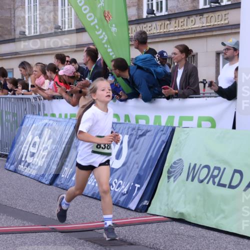 07.09.2025 - BARMER Alsterlauf Strokosch-Dieckow http://msf.ph/oto/8717168 07.09.2025 10:51:39 Ziel 152, 156, 170, 203, 205, 256, 266, 273, 322, 332, 400, 401, 421, 425, 426, 442, 452, 8135, 8329, 8376, 8380, 8459 meine-sportfotos.de