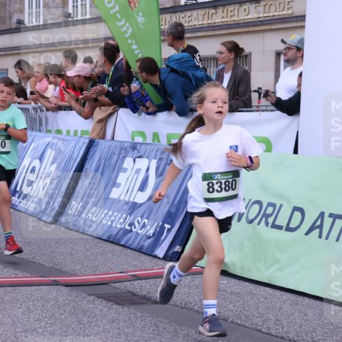 07.09.2025 - BARMER Alsterlauf Strokosch-Dieckow http://msf.ph/oto/8717169 07.09.2025 10:51:39 Ziel 152, 156, 170, 203, 205, 256, 266, 273, 322, 332, 400, 401, 421, 425, 426, 442, 452, 8135, 8329, 8376, 8380, 8459 meine-sportfotos.de