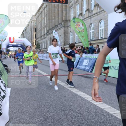 07.09.2025 - BARMER Alsterlauf Strokosch-Dieckow http://msf.ph/oto/8717171 07.09.2025 10:51:40 Ziel 156, 170, 203, 205, 256, 266, 273, 332, 383, 400, 401, 425, 426, 440, 442, 452, 8135, 8193, 8329, 8376, 8380, 8459 meine-sportfotos.de