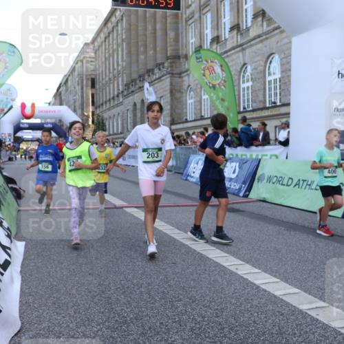 07.09.2025 - BARMER Alsterlauf Strokosch-Dieckow http://msf.ph/oto/8717172 07.09.2025 10:51:40 Ziel 156, 170, 203, 205, 256, 266, 273, 332, 383, 400, 401, 425, 426, 440, 442, 452, 8135, 8193, 8329, 8376, 8380, 8459 meine-sportfotos.de