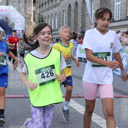 07.09.2025 - BARMER Alsterlauf Strokosch-Dieckow http://msf.ph/oto/8717173 07.09.2025 10:51:41 Ziel 156, 203, 205, 256, 266, 273, 332, 383, 400, 401, 425, 426, 440, 442, 452, 8135, 8193, 8329, 8376, 8380, 8459 meine-sportfotos.de