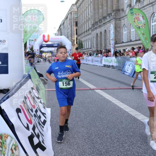 07.09.2025 - BARMER Alsterlauf Strokosch-Dieckow http://msf.ph/oto/8717175 07.09.2025 10:51:42 Ziel 156, 203, 205, 256, 266, 273, 332, 334, 383, 392, 400, 401, 405, 412, 425, 426, 440, 445, 452, 8135, 8193, 8329, 8376, 8380, 8459 meine-sportfotos.de