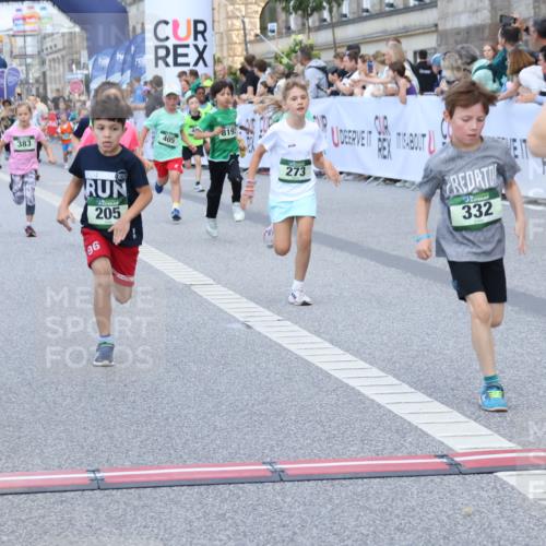 07.09.2025 - BARMER Alsterlauf Strokosch-Dieckow http://msf.ph/oto/8717176 07.09.2025 10:51:43 Ziel 156, 203, 205, 239, 256, 266, 273, 316, 332, 334, 339, 383, 390, 392, 400, 401, 405, 412, 425, 426, 440, 445, 8193, 8329, 8376, 8380, 8459 meine-sportfotos.de