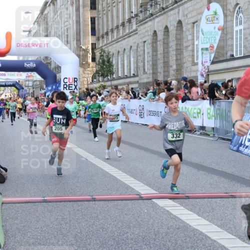 07.09.2025 - BARMER Alsterlauf Strokosch-Dieckow http://msf.ph/oto/8717177 07.09.2025 10:51:43 Ziel 156, 203, 205, 239, 256, 266, 273, 316, 332, 334, 339, 383, 390, 392, 400, 401, 405, 412, 425, 426, 440, 445, 8193, 8329, 8376, 8380, 8459 meine-sportfotos.de