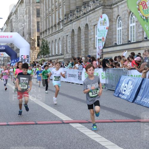 07.09.2025 - BARMER Alsterlauf Strokosch-Dieckow http://msf.ph/oto/8717178 07.09.2025 10:51:44 Ziel 156, 160, 174, 203, 205, 239, 256, 273, 316, 332, 334, 339, 383, 390, 392, 400, 401, 405, 412, 425, 426, 440, 445, 446, 8193, 8329, 8376, 8380, 8459 meine-sportfotos.de