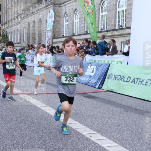 07.09.2025 - BARMER Alsterlauf Strokosch-Dieckow http://msf.ph/oto/8717180 07.09.2025 10:51:45 Ziel 156, 160, 174, 205, 222, 239, 256, 273, 316, 332, 334, 339, 383, 390, 392, 400, 401, 405, 412, 425, 426, 440, 445, 446, 8193, 8329, 8459 meine-sportfotos.de