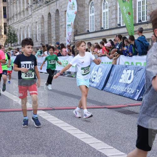07.09.2025 - BARMER Alsterlauf Strokosch-Dieckow http://msf.ph/oto/8717181 07.09.2025 10:51:45 Ziel 156, 160, 174, 205, 222, 239, 256, 273, 316, 332, 334, 339, 383, 390, 392, 400, 401, 405, 412, 425, 426, 440, 445, 446, 8193, 8329, 8459 meine-sportfotos.de