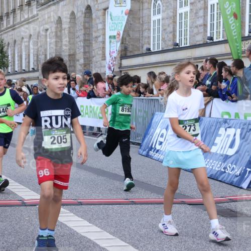 07.09.2025 - BARMER Alsterlauf Strokosch-Dieckow http://msf.ph/oto/8717182 07.09.2025 10:51:46 Ziel 156, 160, 174, 205, 222, 239, 240, 273, 316, 323, 332, 334, 339, 383, 390, 392, 401, 405, 409, 412, 423, 425, 426, 440, 445, 446, 8193, 8329, 8459 meine-sportfotos.de