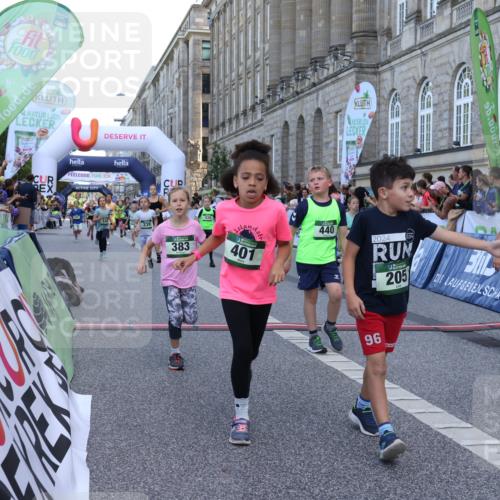 07.09.2025 - BARMER Alsterlauf Strokosch-Dieckow http://msf.ph/oto/8717184 07.09.2025 10:51:47 Ziel 160, 174, 205, 222, 239, 240, 273, 296, 311, 316, 323, 332, 334, 339, 383, 390, 392, 401, 405, 409, 412, 423, 425, 439, 440, 445, 446, 448, 8193, 8459 meine-sportfotos.de