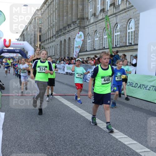 07.09.2025 - BARMER Alsterlauf Strokosch-Dieckow http://msf.ph/oto/8717189 07.09.2025 10:51:49 Ziel 158, 160, 174, 178, 205, 222, 239, 240, 273, 288, 296, 306, 311, 316, 317, 323, 332, 334, 339, 342, 383, 390, 392, 401, 405, 409, 412, 423, 439, 440, 445, 446, 448, 8193, 8460 meine-sportfotos.de