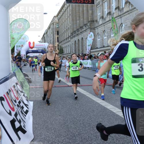 07.09.2025 - BARMER Alsterlauf Strokosch-Dieckow http://msf.ph/oto/8717191 07.09.2025 10:51:50 Ziel 158, 160, 174, 178, 192, 205, 222, 239, 240, 273, 288, 296, 306, 311, 316, 317, 323, 334, 339, 342, 383, 390, 392, 401, 405, 409, 412, 423, 439, 440, 445, 446, 448, 8193, 8460 meine-sportfotos.de