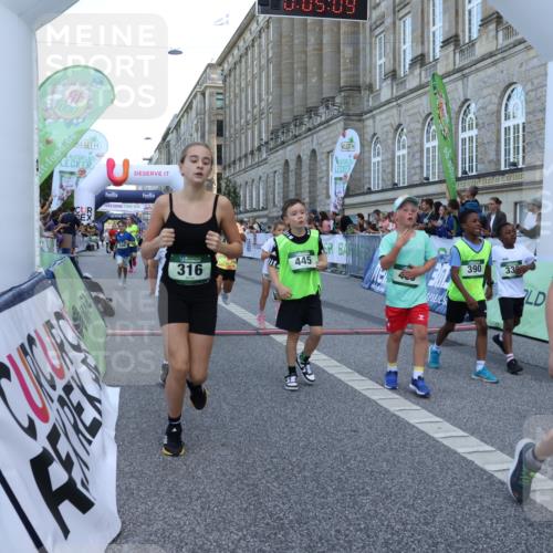 07.09.2025 - BARMER Alsterlauf Strokosch-Dieckow http://msf.ph/oto/8717192 07.09.2025 10:51:50 Ziel 158, 160, 174, 178, 192, 205, 222, 239, 240, 273, 288, 296, 306, 311, 316, 317, 323, 334, 339, 342, 383, 390, 392, 401, 405, 409, 412, 423, 439, 440, 445, 446, 448, 8193, 8460 meine-sportfotos.de