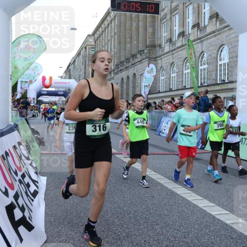 07.09.2025 - BARMER Alsterlauf Strokosch-Dieckow http://msf.ph/oto/8717193 07.09.2025 10:51:51 Ziel 158, 160, 174, 178, 192, 204, 222, 239, 240, 273, 288, 296, 306, 307, 311, 316, 317, 323, 334, 339, 342, 369, 383, 390, 392, 401, 405, 406, 409, 412, 423, 439, 440, 445, 446, 448, 8193, 8460 meine-sportfotos.de